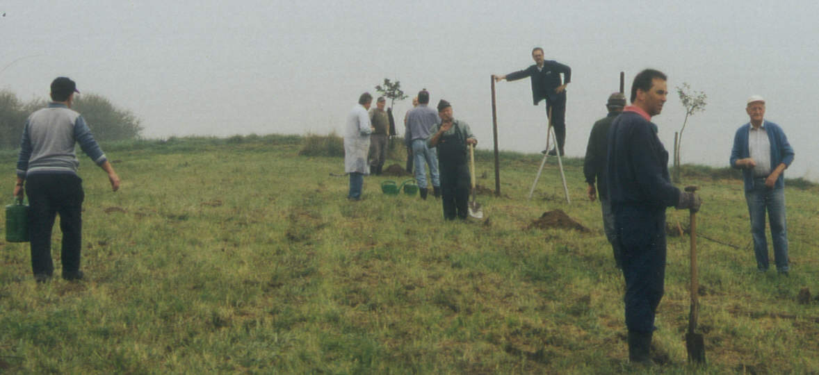 Obstwiese Pflanzung 2